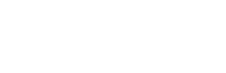 Dyson V16 Piston Animal logo.